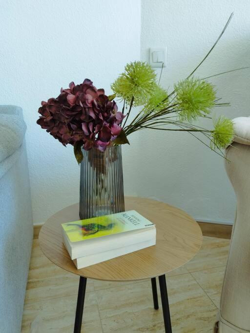 Love Rent4 Malaga Tamarindo בנאלמדנה מראה חיצוני תמונה